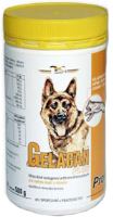 Gelacan plus profi (1)