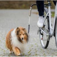 Vodící set na kolo Dog Biker de Luxe Trixie (1)