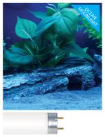 Arcadia T5 Ocean Moonlight 8W 300mm (1)