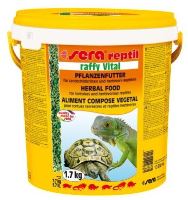 Sera raffy vital (7)