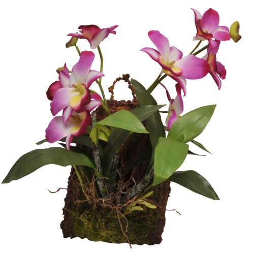Lucky Reptile Závěsná orchidej - purpurová cca 20x30cm