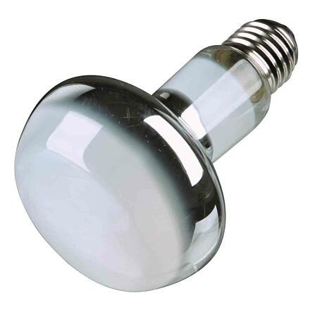 Basking Spot-Lamp 50W
