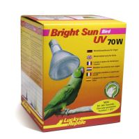 Lucky Reptile Bright Sun Bird 70W (1)