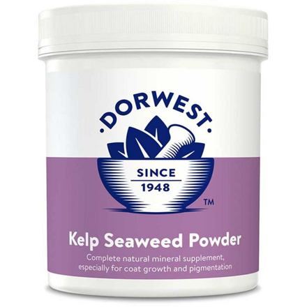 Dorwest - Mořská řasa Kelp - prášek - 250g