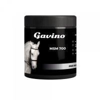 Gavino MSM 700g