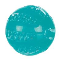 DentaFun míč, termoplastická guma (TPR) 6 cm