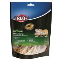 Sušený moučný červ 70g (1)