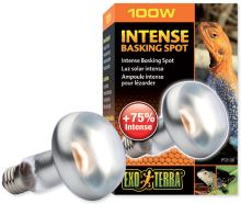 Žárovka EXO TERRA Intense Basking Spot 100W (1)