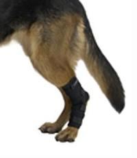 Chránič kolena pro psa KRUUSE Rehab XS-XXL sada 12ks KRUUSE