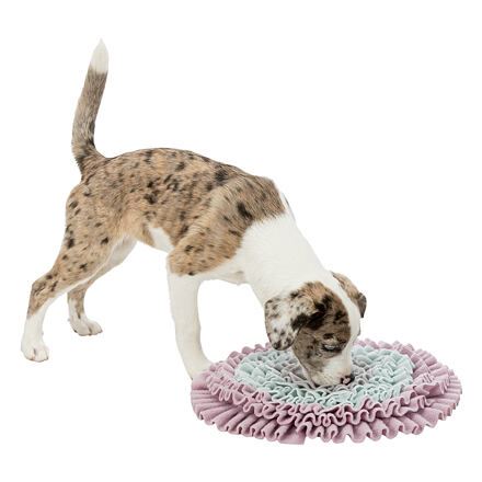 JUNIOR Dog Activity čmuchací koberec 38cm