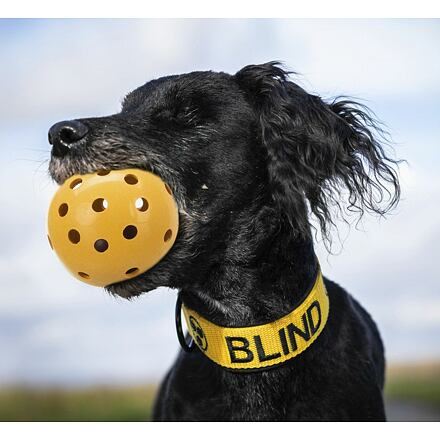 Děrovaný míč s rolničkou, pro zrakově postižené psy, ø 7cm