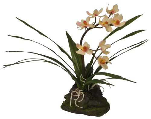 Lucky Reptile Orchidej - bílá cca 23cm