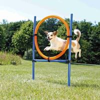 AGILITY proskakovací kruh 1 set Trixie (1)