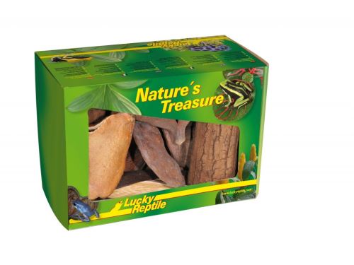 Lucky Reptile Nature's Treasure - Deco Box