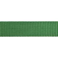 Obojek RD 25 mm x 41-63 cm - Ziggy Rfx - Zelená (93)