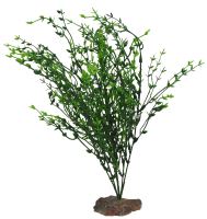 Lucky Reptile Kilimandscharo Bush, cca 40cm