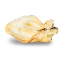 KIDDOG 100 % Natural Snack OX - volí ucho přírodní 17 cm - 30 ks/bal KIDDOG 100 % Natural Snack OX - volí ucho přírodní 17 cm - 30 ks/bal