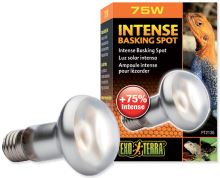 Žárovka EXO TERRA Intense Basking Spot 75W (1)