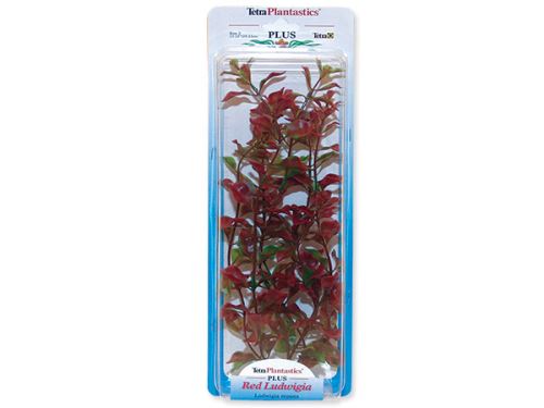 Rostlina TETRA Red Ludwigia 23cm