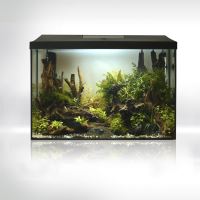 Akvarijní set LEDDY 40 XL D&N Černý 2.0 Akvarijní set LEDDY 40 XL D&N Černý 2.0
